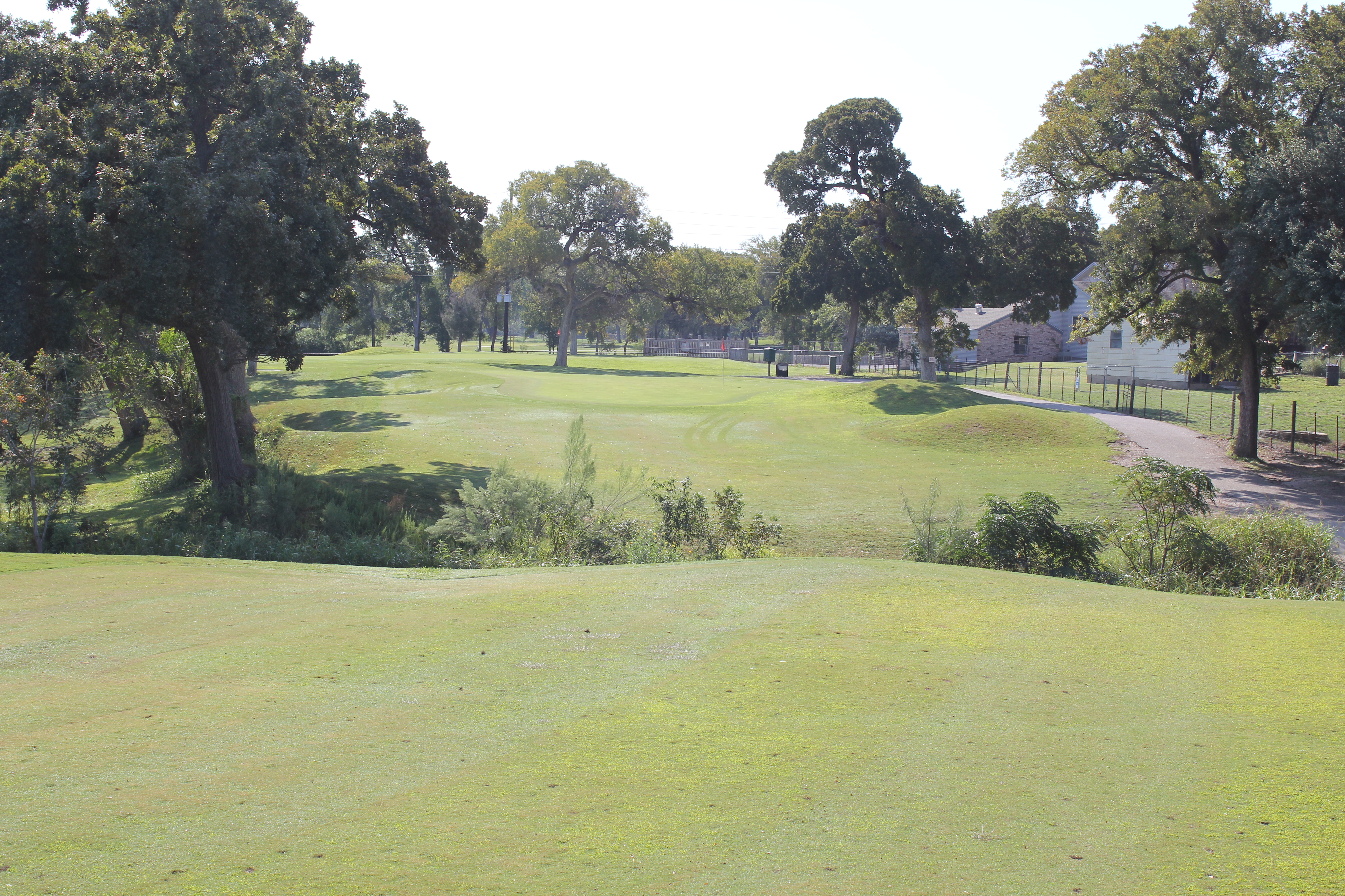Hole 9 - Green